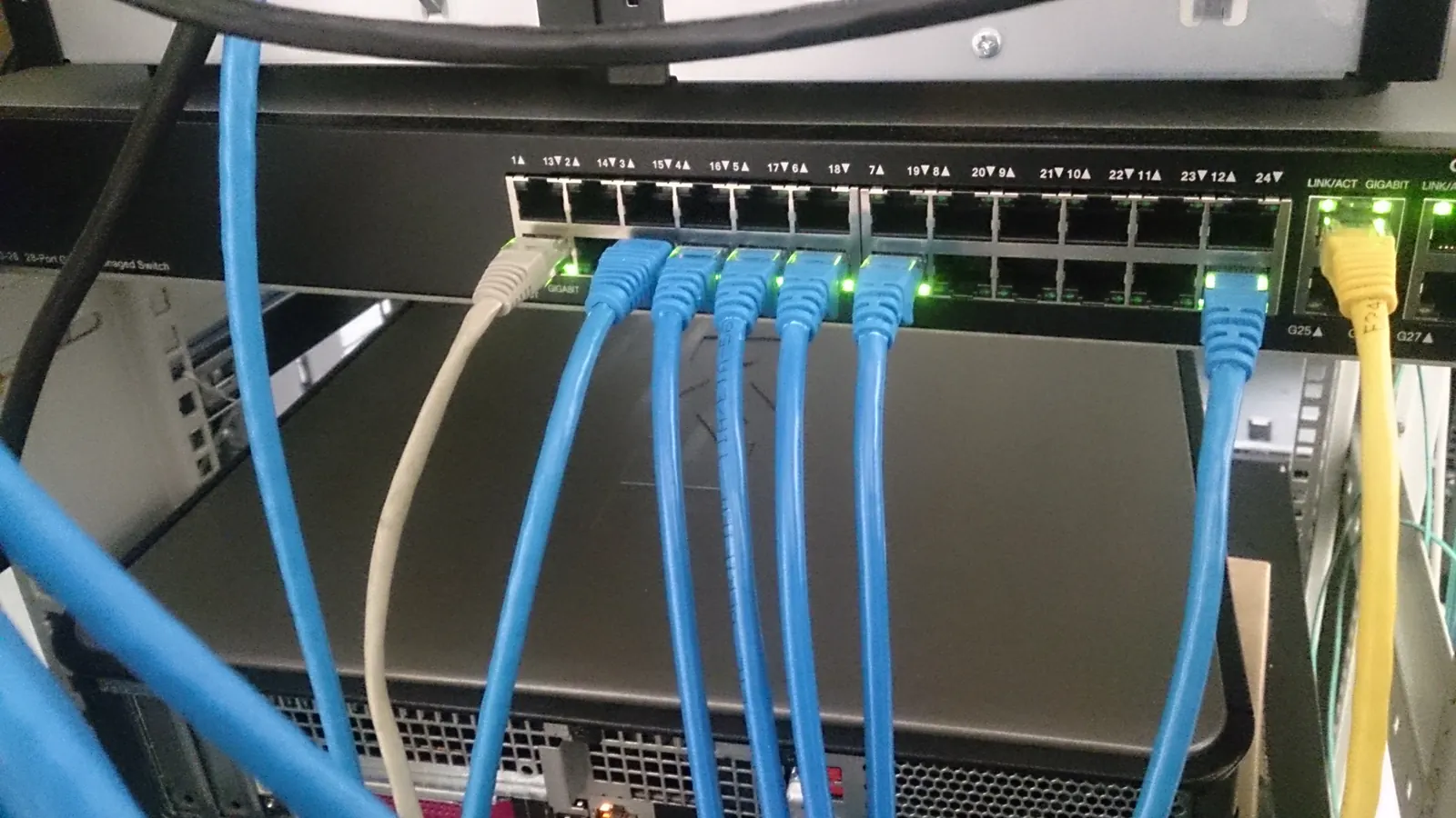 Ağ anahtarına bağlı mavi ve sarı ethernet kabloları